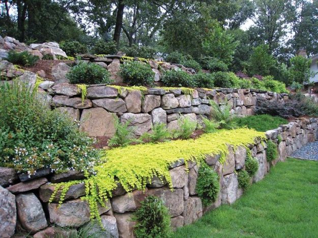 rock-wall-landscape